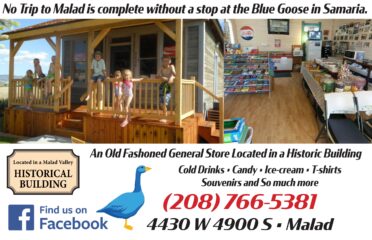 The Blue Goose