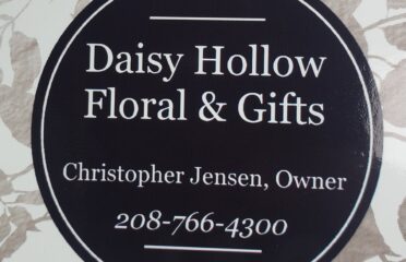 Daisy Hollow Floral