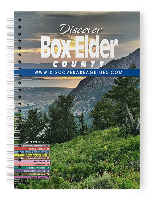 Box Elder Book Cover