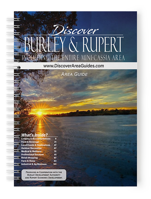 Burley Book Cover