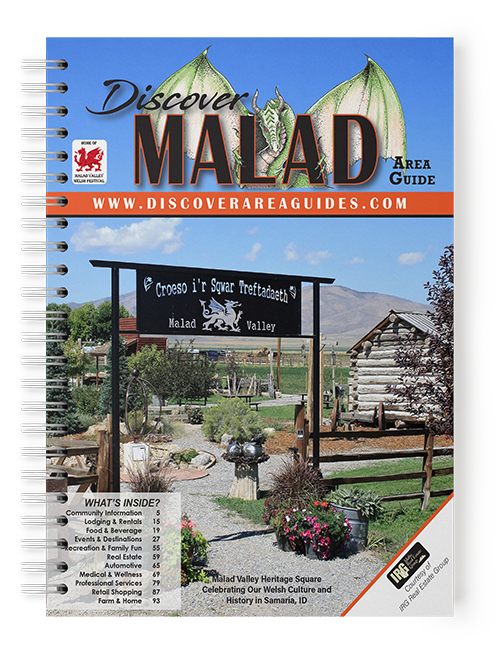 Malad Book Cover