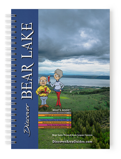 Cover for web